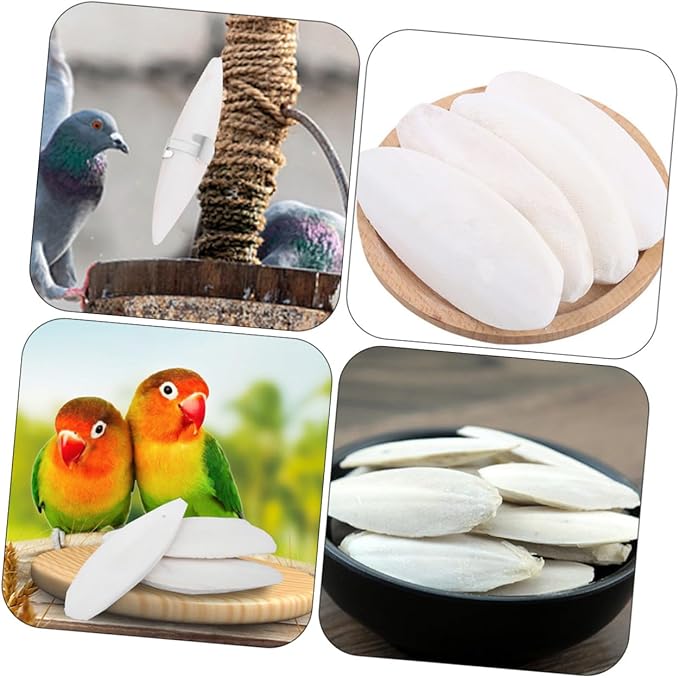 POPETPOP 12sets Pet Grinding Toy Set Cuttlefish Bone Chewing Toys Molars for Animals Bird Cage Accessories Pet Supplies Protect Your Shoes Furniture