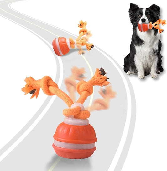 Interactive Dog Toys, Motion Activate Rolling Ball for Small Medium Large Dogs, Automatic Moving Toy, Interactive Dog Ball Stimulation Toy for Boredom Relief (Orange)