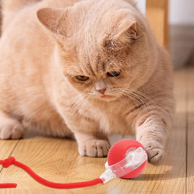 Interactive Cat Toy Ball for Indoor Cats - 2024 New Self-Rolling Dog Ball Automatic 360 Smart Electric Toy Fast Rolling on Carpet for Cats and Dogs (Red)