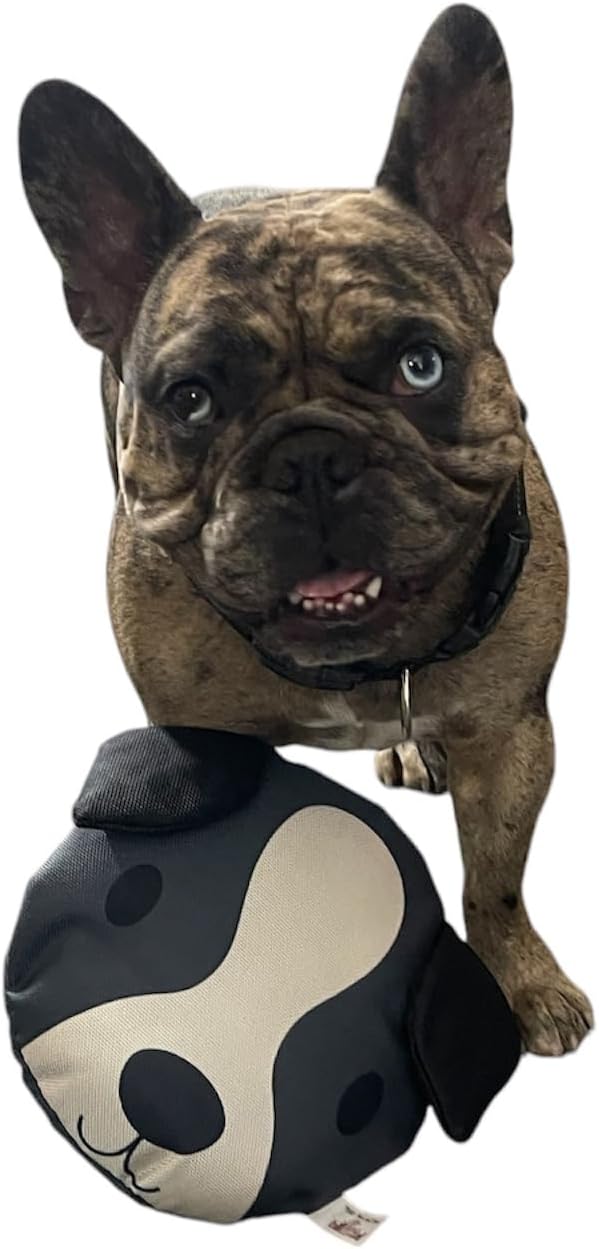 Piggy Poo and Crew Dog and Cat Bite Proof Squeaker Disc Ruffhouse Fetch Frisbee Toys for Puppies Dogs Small Animals
