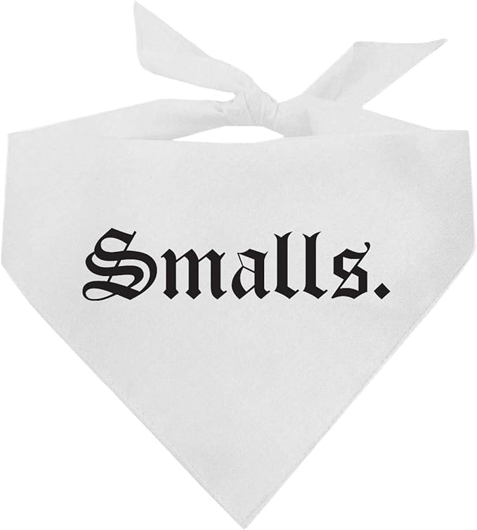 Smalls Matching 90's Hip Hop Dog Bandana (White, XS 407)