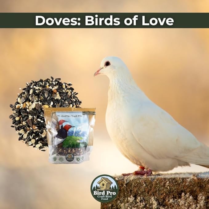 Bird Pro Holistic Bird Seed - Premium Seed for Backyard Feeding (36 Pounds, Hi-Energy Trail Mix)
