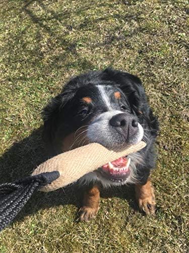 Dingo Gear, Natural Jute tug Toy for Dog Training Agility tug of war, Bumper Toy Dog bite, 2 Handles 11" S00146