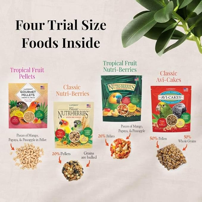 LAFEBER'S Foraging Fun Pack Pet Bird Food, Made with Non-GMO and Human-Grade Ingredients 5 oz (Conure)