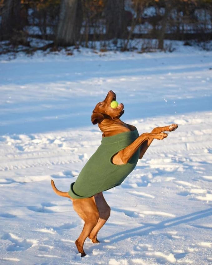 Gooby - Stretch Fleece Vest, Pullover Fleece Vest Jacket Sweater for Dogs, Black, 4X-Large