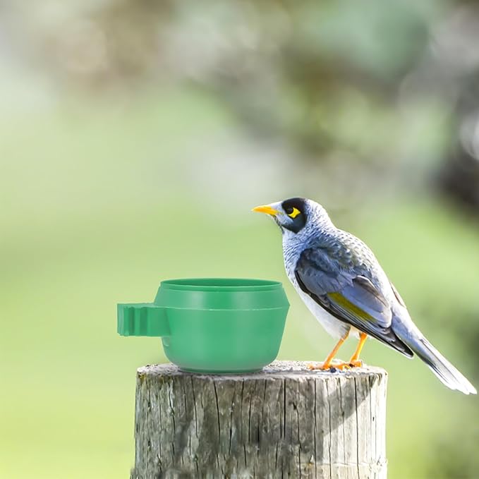 15pcs Green Small Bird Feeding Bowls Lock Food and Water Tray for Parrots and Small Birds Cage Supplies