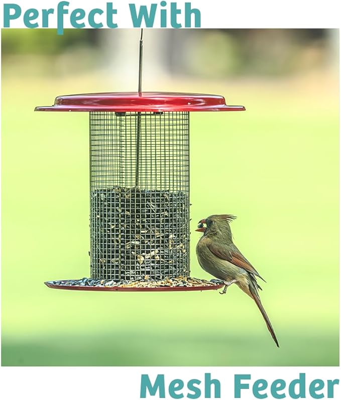 Birds Choice Finch Feast Wild Bird Food | Nutrient-Rich Bird Seed Blend | High-Energy with Nyjer Thistle, Sunflower Chips, Nyjer & Vegetable Oil | High Protein & Fat for Attracting Finches | 5 lbs