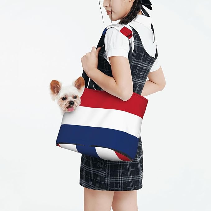 Foldable Pet Carrier Sling - Waterproof Small Dog & Cat Travel Dutch Flag Tote with Safety Hook for Hiking