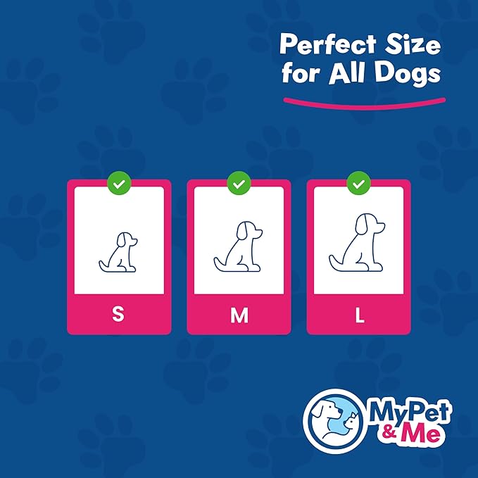 My Pet & Me - Squeaky Dog Toys for Light to Moderate Chewers - Fun Latex Toys for Puppies, Teething, and Gentle Play - Interactive Fetch and Chew Toy with Squeaker (Blue Mouse, 4.3 Inch)