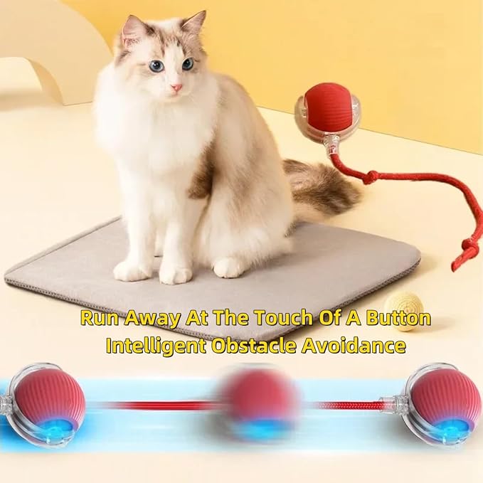 Smart Electric Cat/Dog Ball Toy - Interactive Rolling Ball, Automatic, Replacement Rope, Indoor/Outdoor (Green)