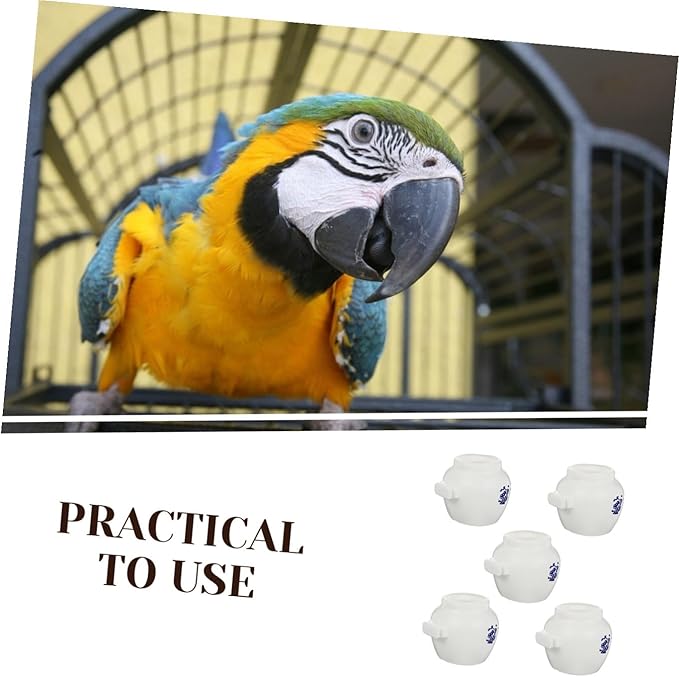 COLLBATH 5pcs Large Round Parrot Food Holders Bird Cage Food Bowls for Fruits Nuts Easy-Clean Sturdy Bird Dish Accessories for Parrots