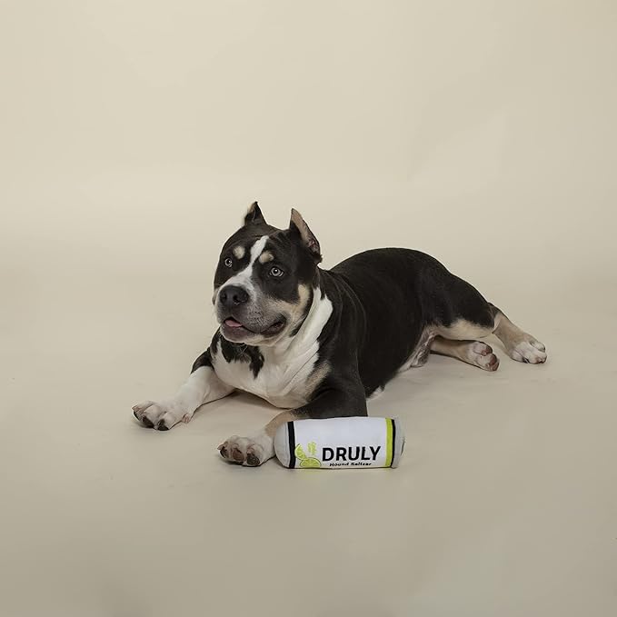 Fringe Studio Plush Dog Toy, DRULY Lickin' Lime (289713) (Pack of 2)