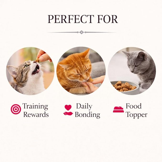 Calming Cat Treats for Indoor Cats 5 Flavors Variety Pack – Crunchy Pillow Bites Gooey Center – Chicken Seafood Catnip Salmon Beef – Cat Snacks Food Topper Wheat Soy Free – 15oz (Packaging May Vary)