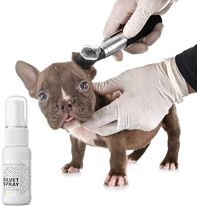NEXDERMA Antiseptic Pet Medicated Itch Relief Hot Spot Spray for Dogs & Cats | First Aid Skin, Rashes and Sores | Wounds Treatment - 25ml, Pack of 1