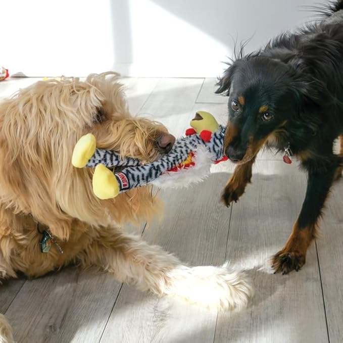 KONG Wishbones Assorted Bird Dog Toy for Tug, Fetch - for Small, Medium and Large Breed Dogs