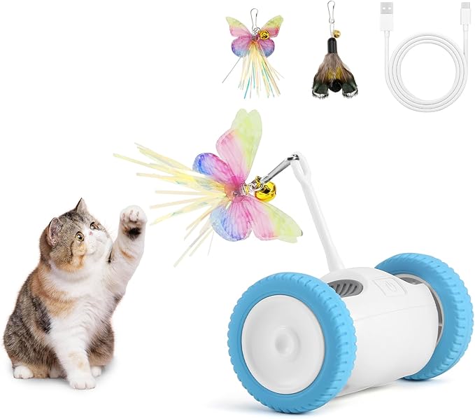 Interactive Cat Toy, Kitten Toy for Indoor Cats, Automatic Cat Toy with LED Lights, Cat Mouse Toy, USB-C Rechargeable (NOT for Carpet)