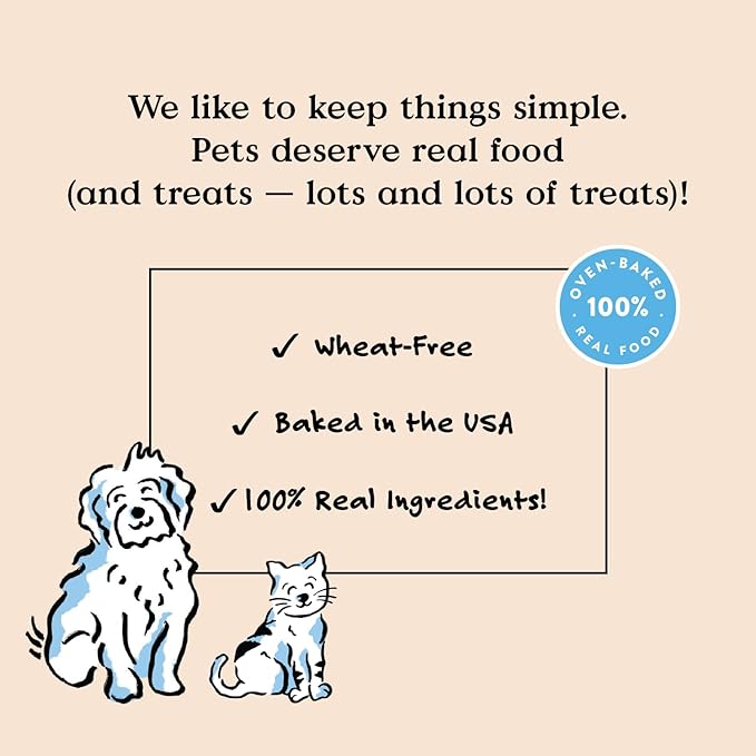 Bocce's Bakery Dailies Brushy Bites Dog Treats for Wellness Support, Wheat-Free Dog Treats, Made with Real Ingredients, Baked in The USA, Natural Soft & Chewy, Apple & Mint Recipe, 6 oz