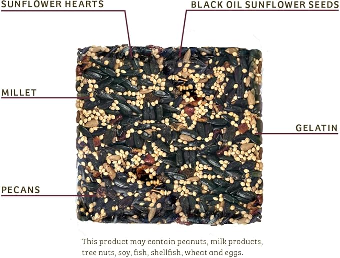 Birds Choice Cardinal's Crave Seed Cake | Wild Bird Food for Cardinals | High-Energy Mix of Black Oil Sunflower Seeds, Pecans & Millet | High Protein & Fat Backyard Feeders | 0.55 lbs (6-Pack)