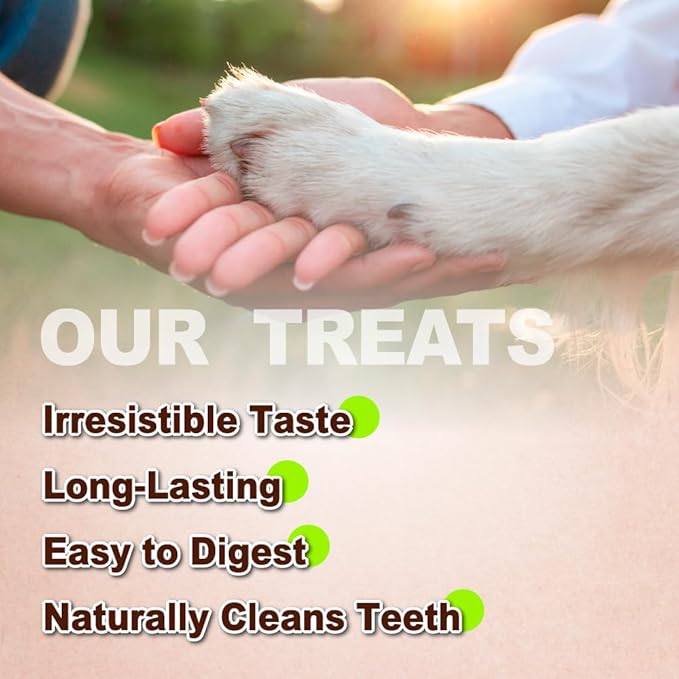 A Freschi srl Turkey Tendons for Dogs, Long-Lasting, Hypoallergenic Rawhide Alternative, Human Grade, Healthy Puppy Chews, Natural Dog Treats for Small Dogs, Bone (S), 4 Count Pack