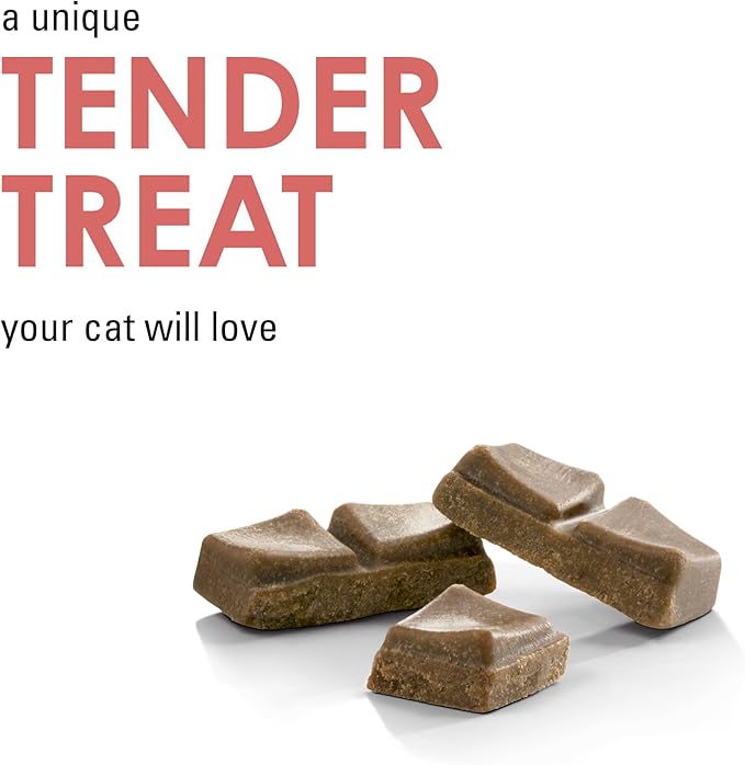 Purina Fancy Feast Savory Cravings Salmon Flavor Limited-Ingredient Soft Cat Treats, 3 oz. Box