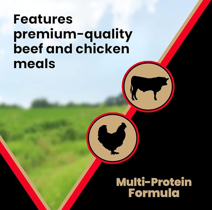 VICTOR Super Premium Dog Food – High Energy Dry Dog Food for Active Dogs – Gluten Free Canine Kibble with Beef and Chicken Meal Proteins for Sporting Dogs – All Breeds and All Life Stages, 50 lb