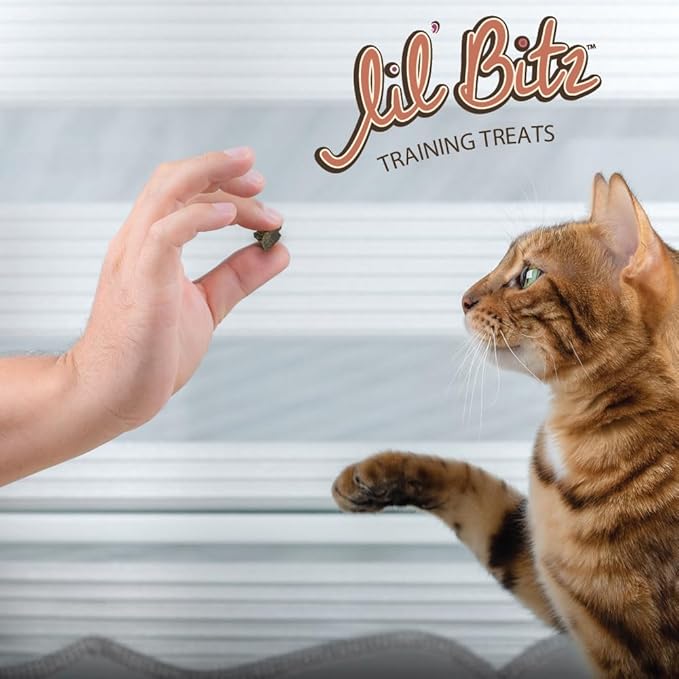 Lil' Bitz Soft & Chewy Cat Treats, Bite Size Rewarding Treats for Cats, Made with Natural Ingredients, Salmon & Liver Flavor, Perfect for Training & Bonding, 12 Pack (3 oz Each)