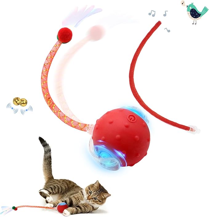 Interactive Cat Toys Ball, Automatic Moving Cats Toy with Elastic Mesh Bell Tail, Rechargeable Cat Ball for Bored Indoor Adult Cats, Energetic-cat (Red)