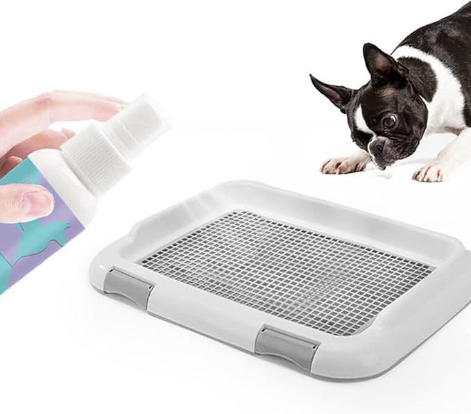 Potty Training Spray for Dogs and Cats, 120ml Pet Housebreaking Aid with Odor Attractant, Potty Training Aid Spray for Indoor and Outdoor Use to Establish Good Habits