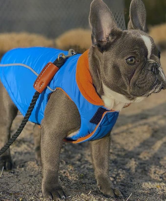 Gooby Sports Vest Dog Jacket - Blue, X-Large - Reflective Dog Vest with D Ring Leash Warm Fleece Lined Hook and Loop Closure for Small to Medium Dogs