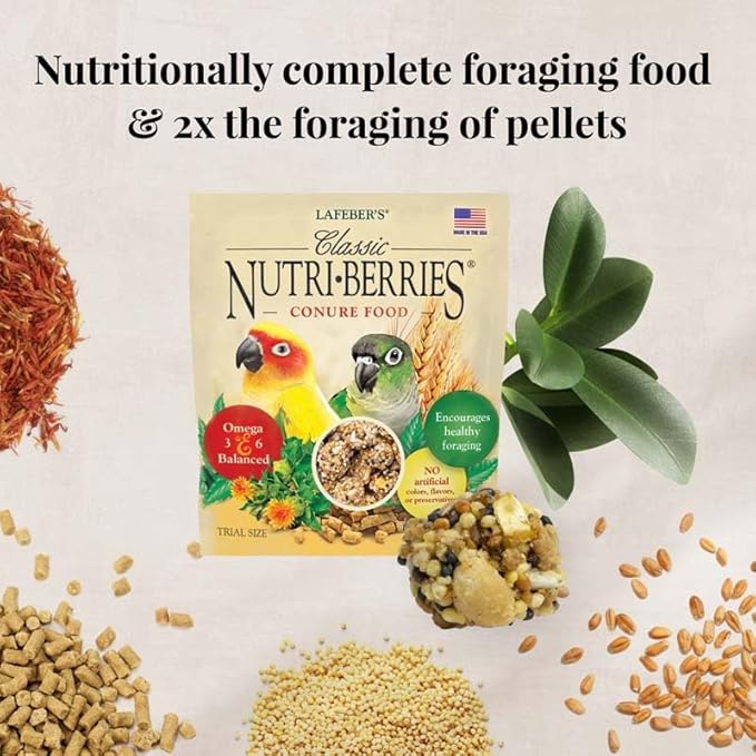 LAFEBER'S Foraging Fun Pack Pet Bird Food, Made with Non-GMO and Human-Grade Ingredients 5 oz (Conure)
