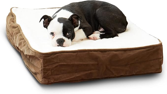 Happy Hounds Oscar Rectangle Orthopedic Foam Sherpa Dog Bed, Extra Small (24 x 18 in.), Mocha