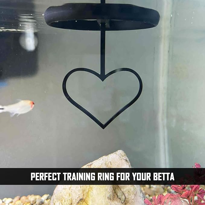 Floating Heart Betta Training Ring, Heart Active Betta Training Ring, Floating Feeder, Enrichment Toys for Aquarium Decor, Pink, 3.8in x 3.7in (Black, Pack of 2)
