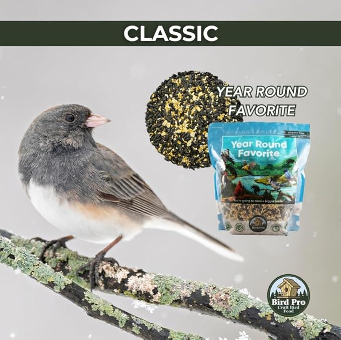 Bird Pro Classic Bird Seed (18 Pounds, Year Round Favorite)