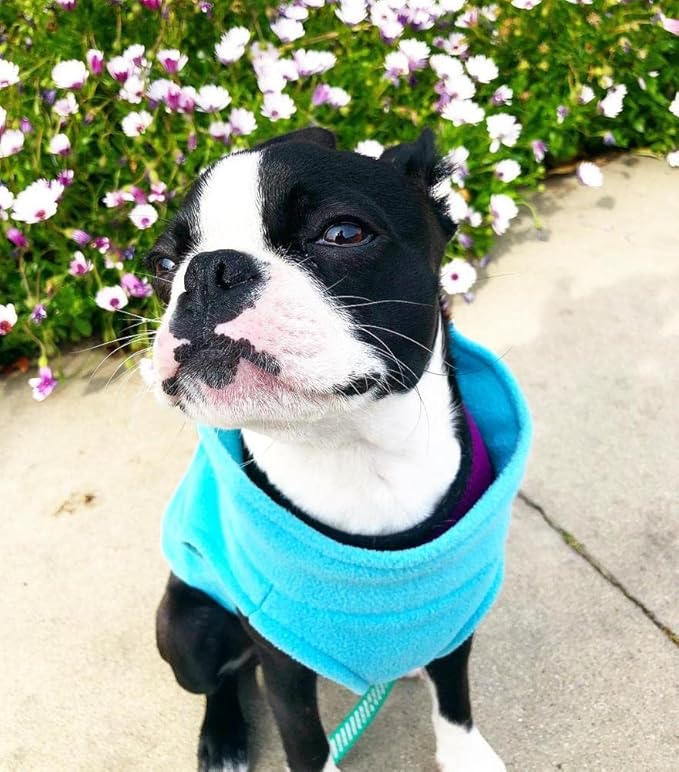 Gooby - Stretch Fleece Vest, Pullover Fleece Vest Jacket Sweater for Dogs, Mint, Medium