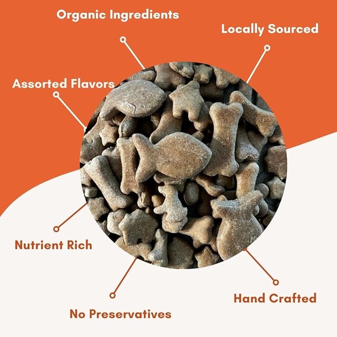 Lulu's Pet Bakery - All-Natural Pet Treats - Human Grade - Made in USA (5oz, Pumpkin)