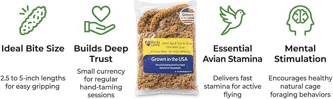 1lb Millet Tips & Tails for Birds - Parakeets, Cockatiels, Lovebirds, Finches, Budgies, Canaries, Cockatoos - Natural & Healthy Millet for Birds - Parakeet Food & Treats for All Parrots (2 Pack)