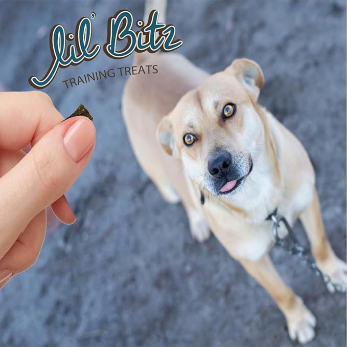 Lil' Bitz Flame Roasted Chicken Training Treats for All Dog Breeds - Low Calories, Grain Free, Natural Ingredients, NASC Compliance - Perfect Reward for Dogs of Every Size (6 Pack)