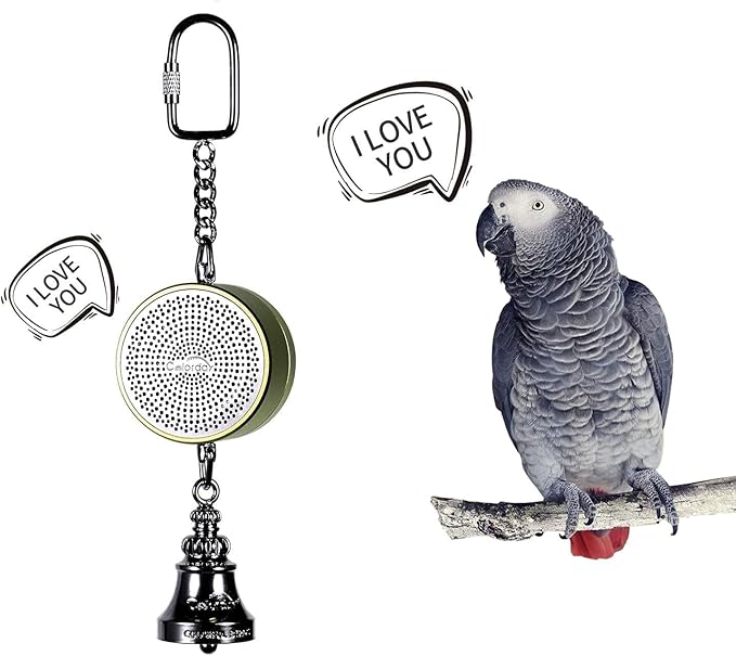 Colorday Bird Toys Parrot Talking Coach & Interactive Voice Bell for Parakeet, African Grey, Amazon Parrots, Quaker, Cockatiel, Conure (Green)