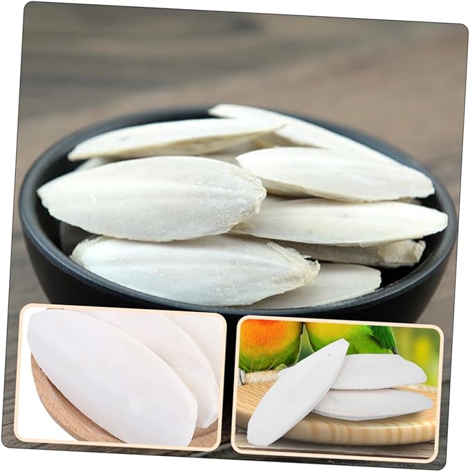Totority 12sets Cuttlebone Chew Toy for Hamsters Parrots Molar Calcium Pet Bite Toy Holder Bird Cage Accessories