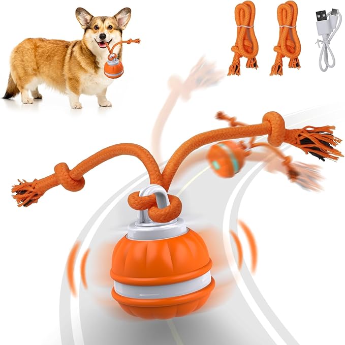 Salodal Peppy Pet Ball for Dogs, Dog Interactive Toys,Motion Activate Rolling Ball for Puppy/Small Dogs, Automatic Moving Toy,USB Rechargeable