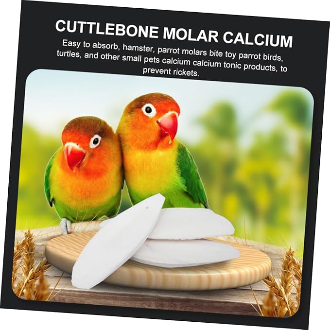 Totority 12sets Cuttlebone Chew Toy for Hamsters Parrots Molar Calcium Pet Bite Toy Holder Bird Cage Accessories