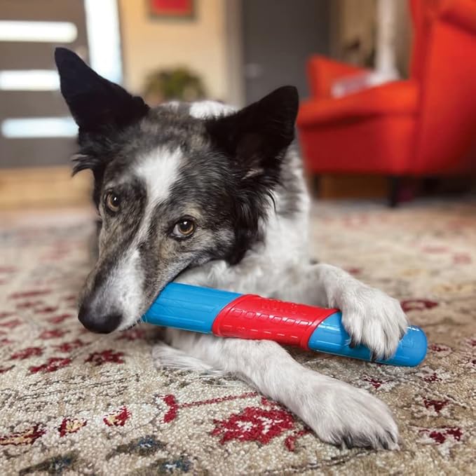 KONG - CoreStrength Rattlez Stick Large