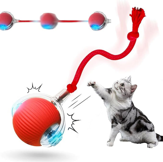 Interactive Rolling Cat Dog Ball - 2025 Upgraded Automatic Moving Cat Toys Ball Dog Toy Interactive,Smart Rolling Ball Toy Electric Balls Toys for Bored Indoor Dog/Cat (Red)