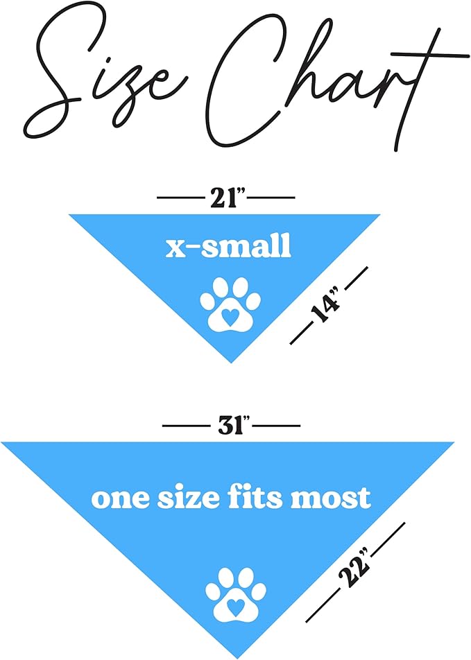 That's My Bro Dog Bandana | 100% Cotton Adjustable Triangle | Made in USA | Baseball| Sports | Biggest Fan | Game Day | Turquoise, X-Small (535)