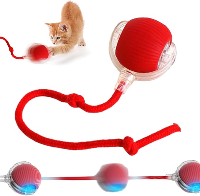 1pcs Smart Interactive Pet Toy Ball, Self Rolling Dog Ball Interactive Cat Toys, 360° Smart Automatic Rolling Ball Toy for Dogs Cats Indoor Outdoor Play (Red)