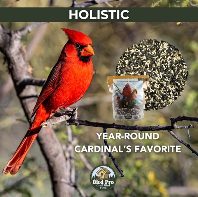 Bird Pro Holistic Bird Seed - Premium Seed for Backyard Feeding (18 Pounds, Cardinal's Favorite)