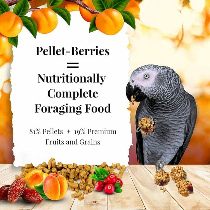 LAFEBER'S Pellet-Berries Pet Bird Food, Made with Non-GMO and Human-Grade Ingredients, for Parrots (10 oz Pack of 2)