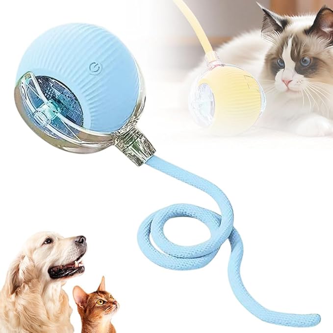 Interactive Rolling Cat Dog Ball Toy, Smart Automatic Moving Cat Toys for Indoor Cats, Self-Rolling Interactive Cat Toy Ball for Kittens & Small Dogs, Fun Gifts for People Who Love Cats (Blue)