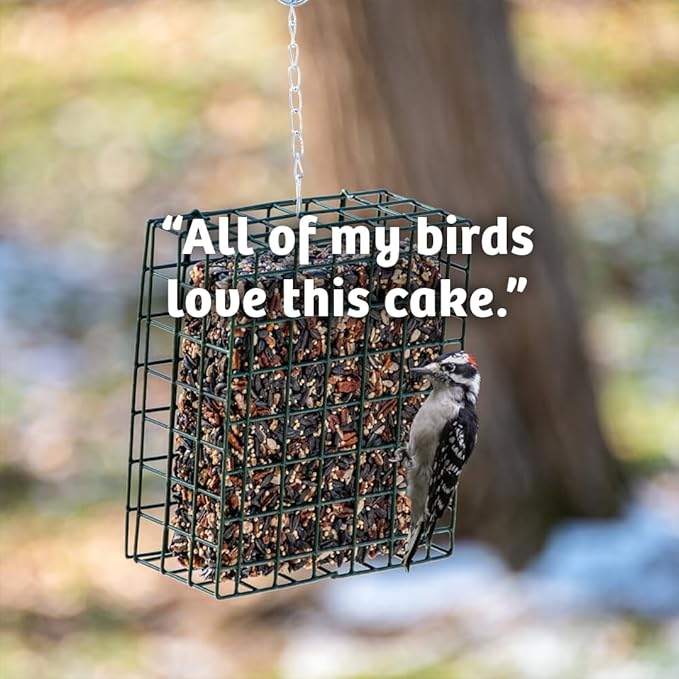 Birds Choice Cardinal's Crave Seed Cake | Wild Bird Food for Cardinals | High-Energy Mix of Black Oil Sunflower Seeds, Pecans & Millet | High Protein & Fat Backyard Feeders | 0.55 lbs (6-Pack)