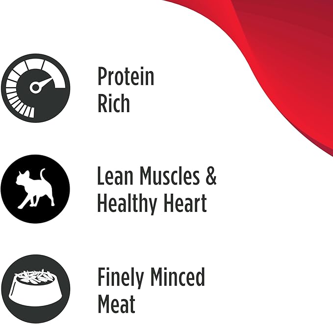 Nulo Canned Wet Cat Food - Finely Minced Chicken Recipe High Protein Grain-Free Cat Food for Indoor & Outdoor Kittens & Adults, 2.8oz Cans (Pack of 12)